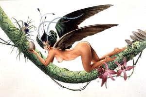Bird_of_Paredise_by_Chris_Achilleos