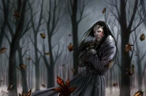 Dark_Winter_by_Aly_Fell