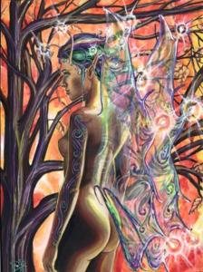 Faelum_by_Elodie_Dumoulin
