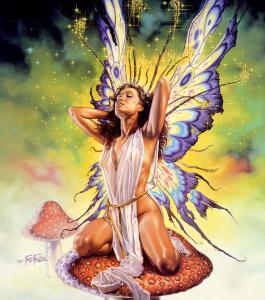 Gladius_Wings_by_Fred_Fields