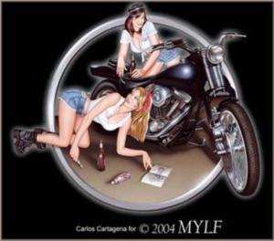 MYLF_Logo_by_Carlos_Cartagena