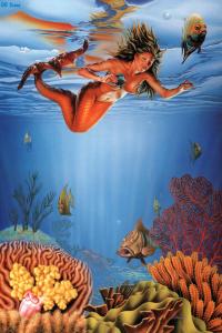 Mermaid_24_20090116_1126946441_by_Barclay_Shaw