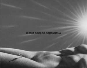 Mirage_by_Carlos_Cartagena