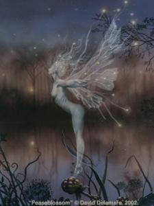 Peaseblossom_by_David_Delamare