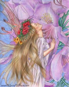 Pollen_by_Maria_J_William