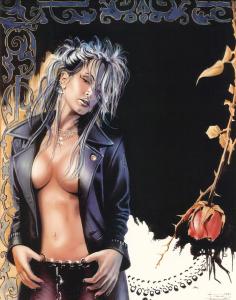 Rose_by_Brian_Rood